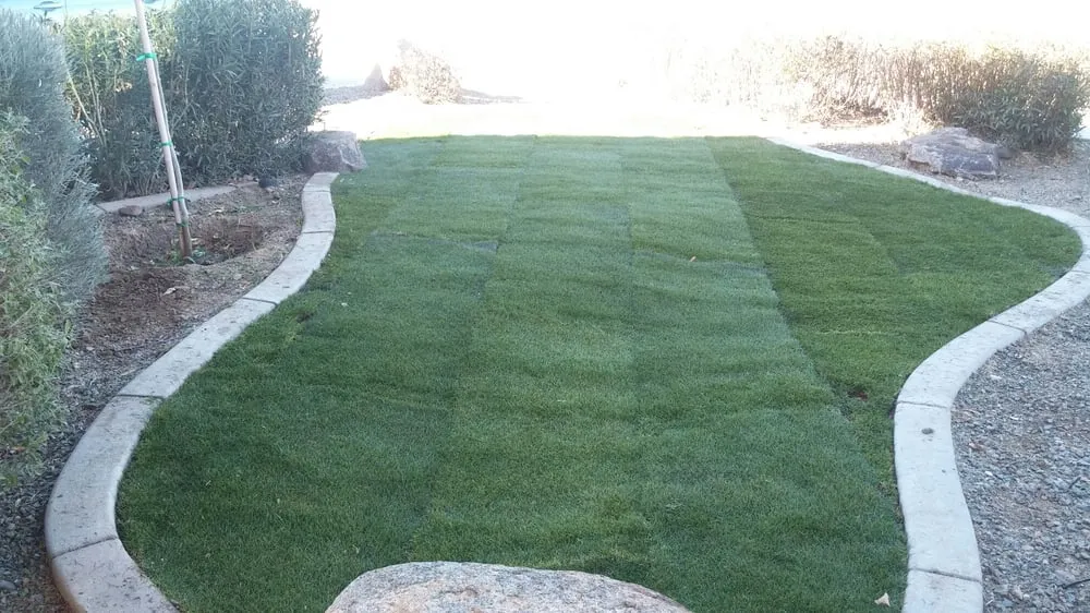 Trusted garden landscaping experts serving Buckeye, AZ - Affordable Lawn Care
