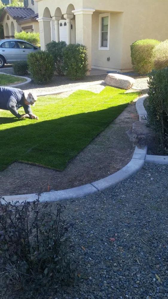 Reliable yard cleanup service near you in Buckeye, AZ by Affordable Lawn Care