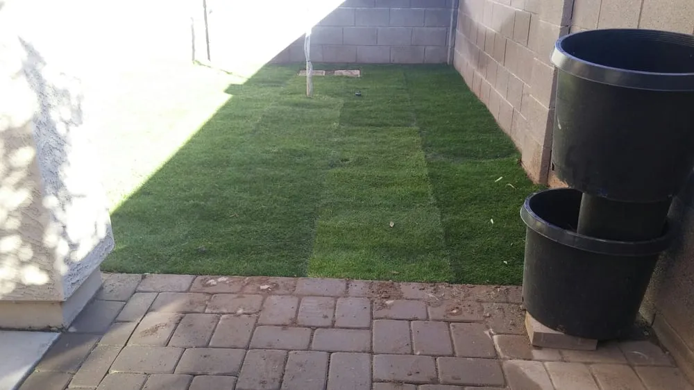 Custom yard maintenance experts serving Buckeye, AZ - Affordable Lawn Care