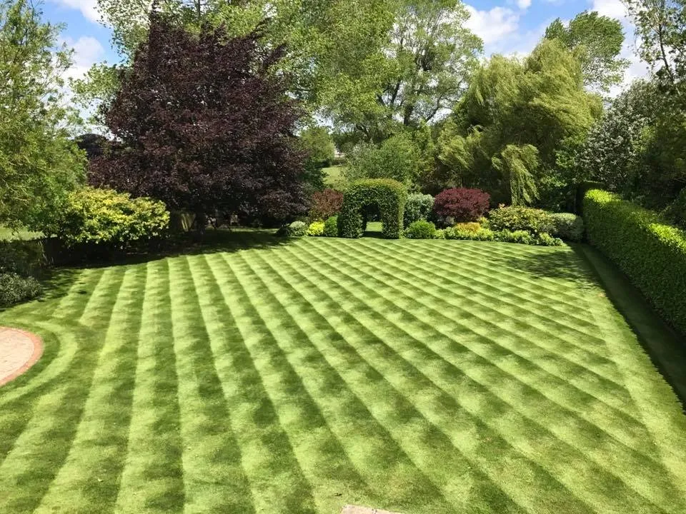 Professional lawn mowing service for outdoor upgrades across Cape May Court House, NJ - Affordable Lawn Care