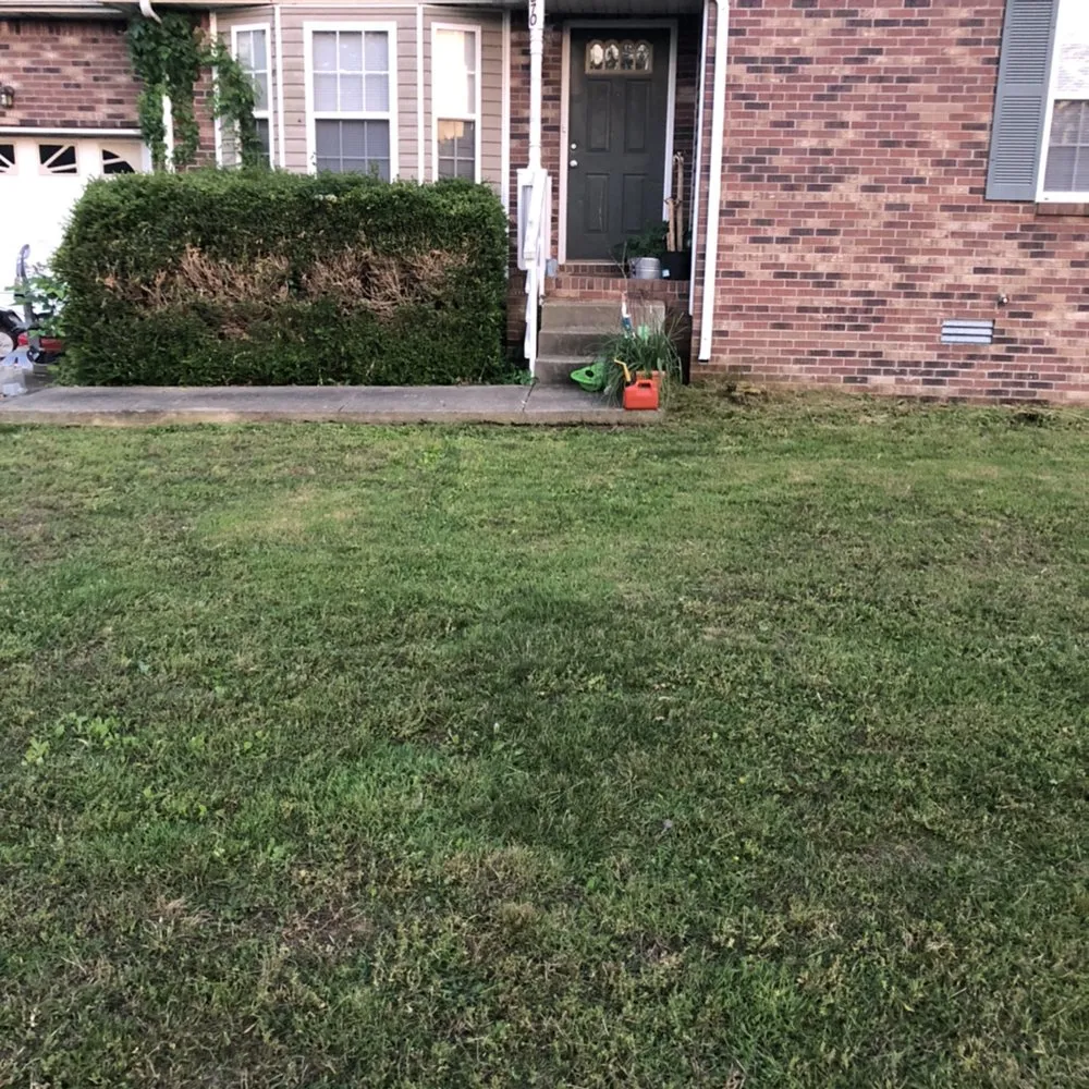 Top-rated residential landscaping with custom design across Clarksville, TN - Affordable Lawn Care
