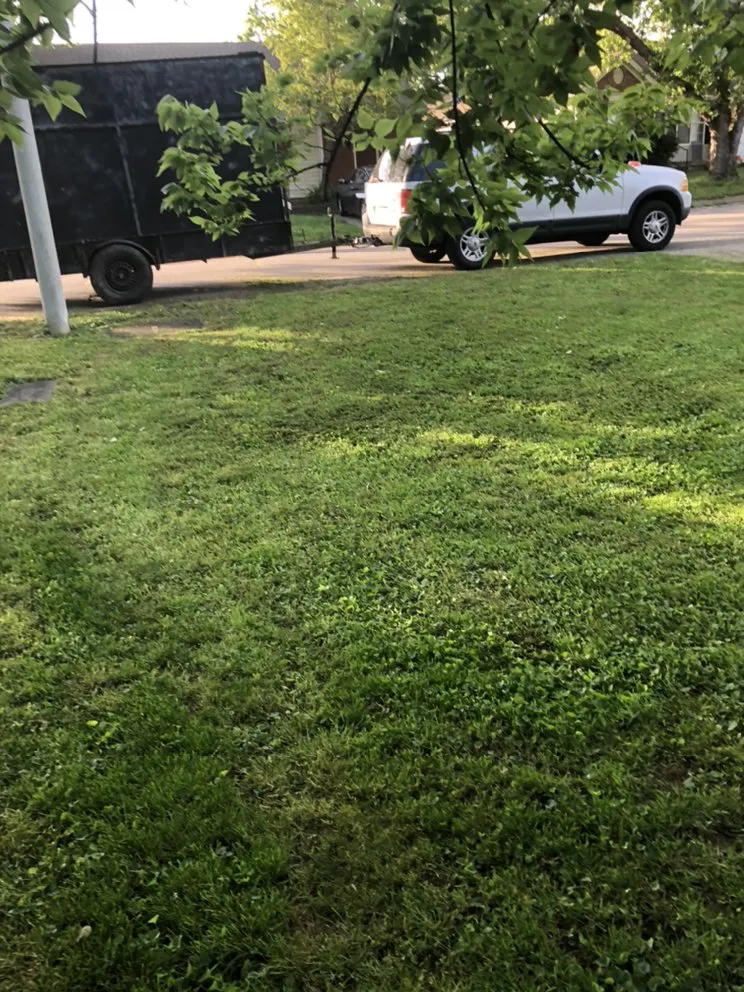 Top-rated yard cleanup service in Clarksville, TN - Affordable Lawn Care