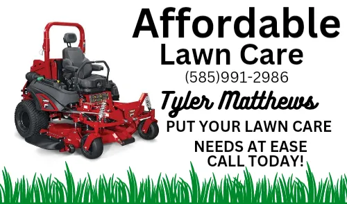 Affordable Lawn Care
