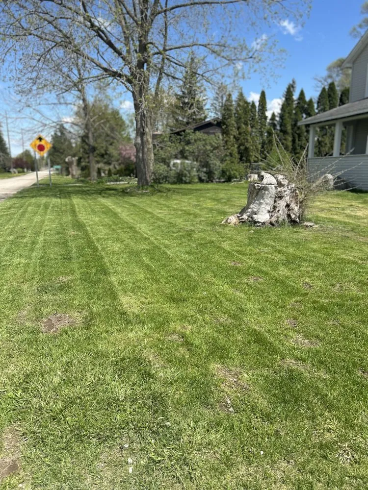 Expert landscape installation experts serving Detroit, MI - Affordable Lawn Care