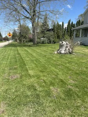 Affordable Lawn Care Logo