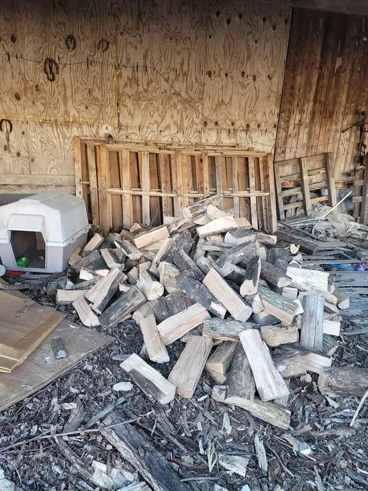 Professional lawn care service in Winchester, IN - Affordable Lawn Care Duo