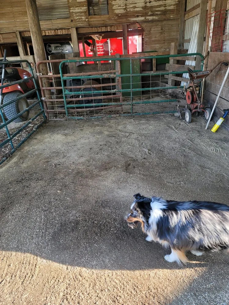 Professional lawn mowing service in Winchester, IN - Affordable Lawn Care Duo