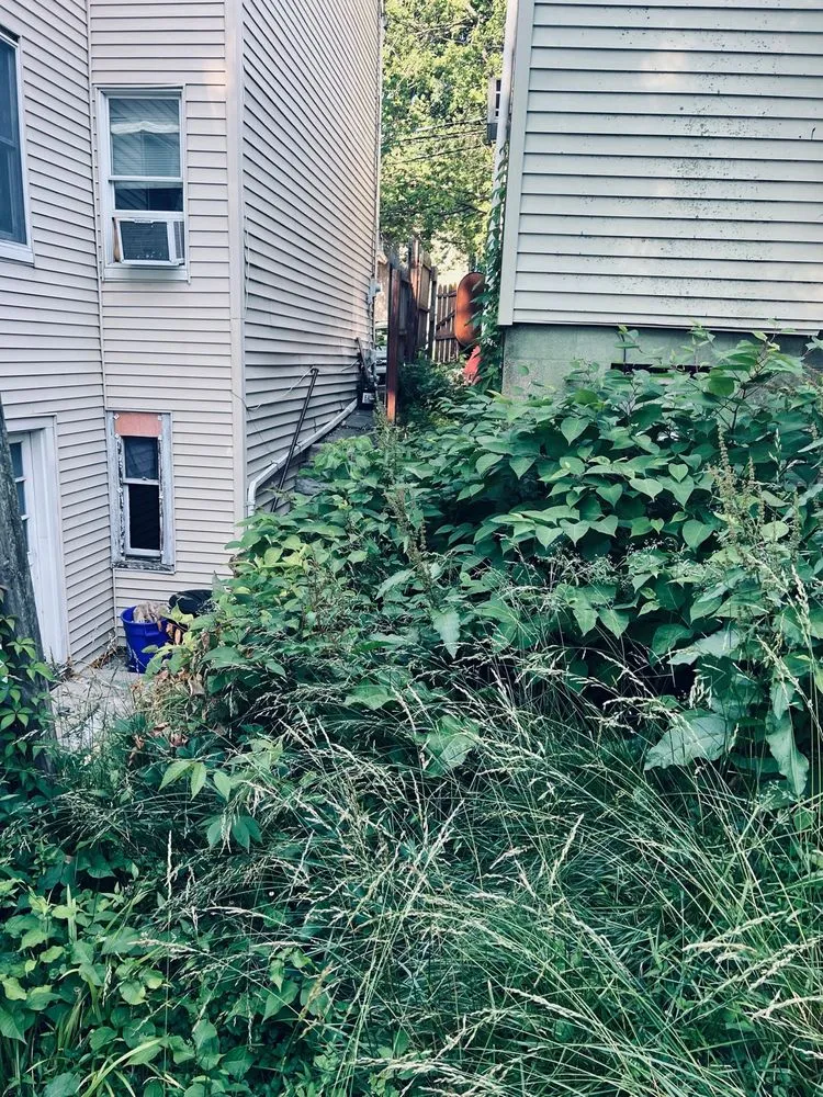 Trusted yard cleanup service in Easton, PA by Affordable Lawn Care