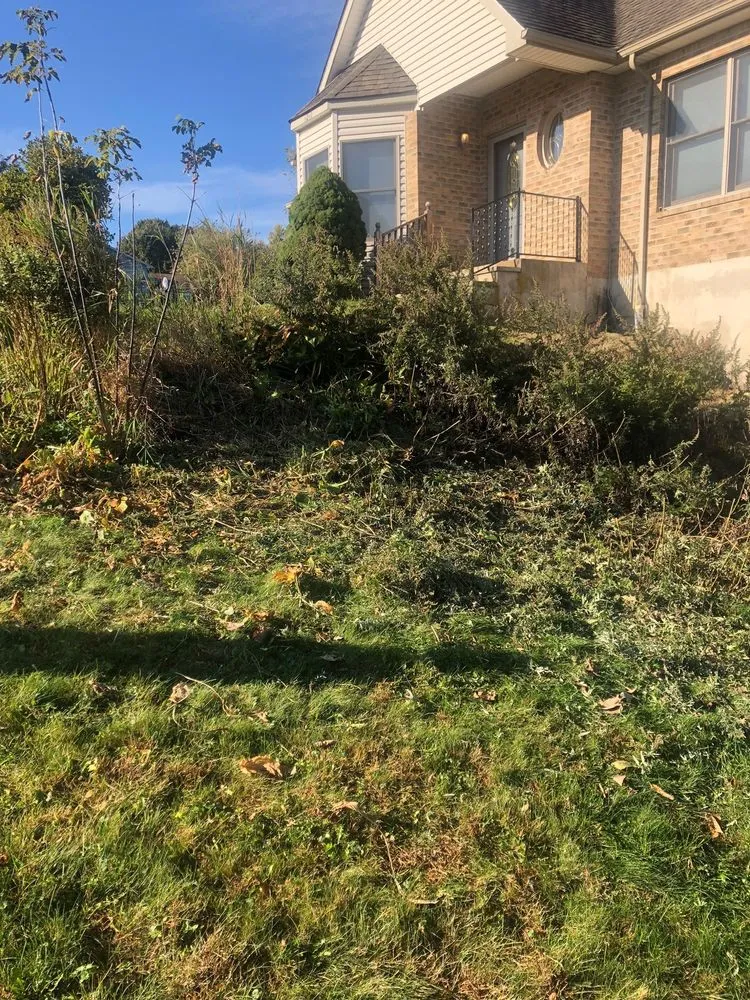 Custom lawn care service experts serving Easton, PA - Affordable Lawn Care