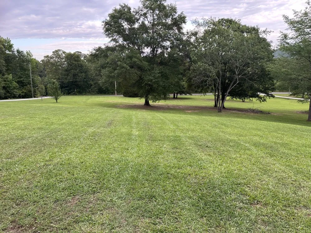 Custom landscape installation experts serving Gadsden, AL - Affordable Lawn Care