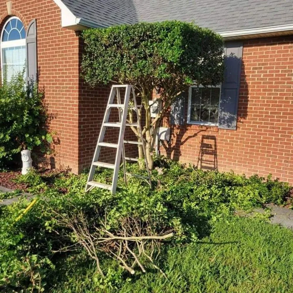 Trusted yard maintenance for outdoor upgrades in Hazel Green, AL by Affordable Lawn Care