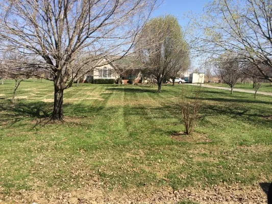 Affordable Lawn Care