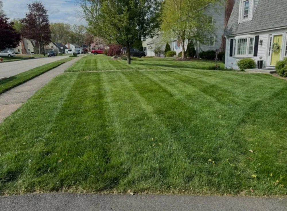 Expert lawn mowing service experts serving Hillsdale, MI - Affordable Lawn Care