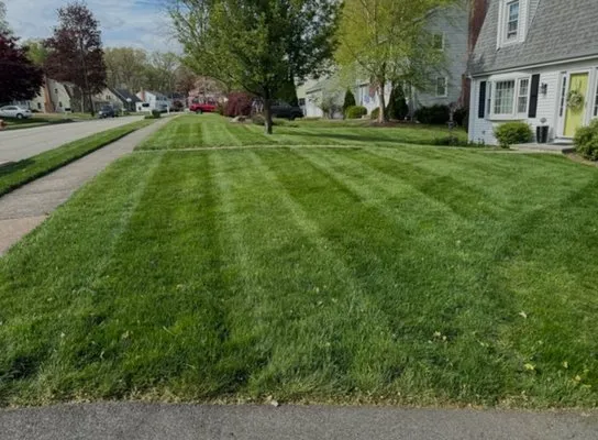 Affordable Lawn Care