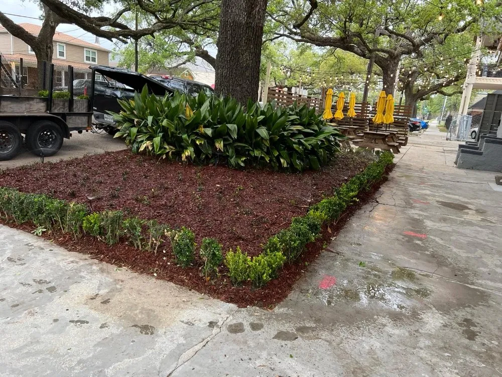 Professional lawn care service in Kenner, LA by Affordable Lawn Care