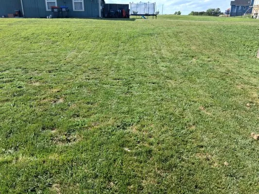 Affordable Lawn Care