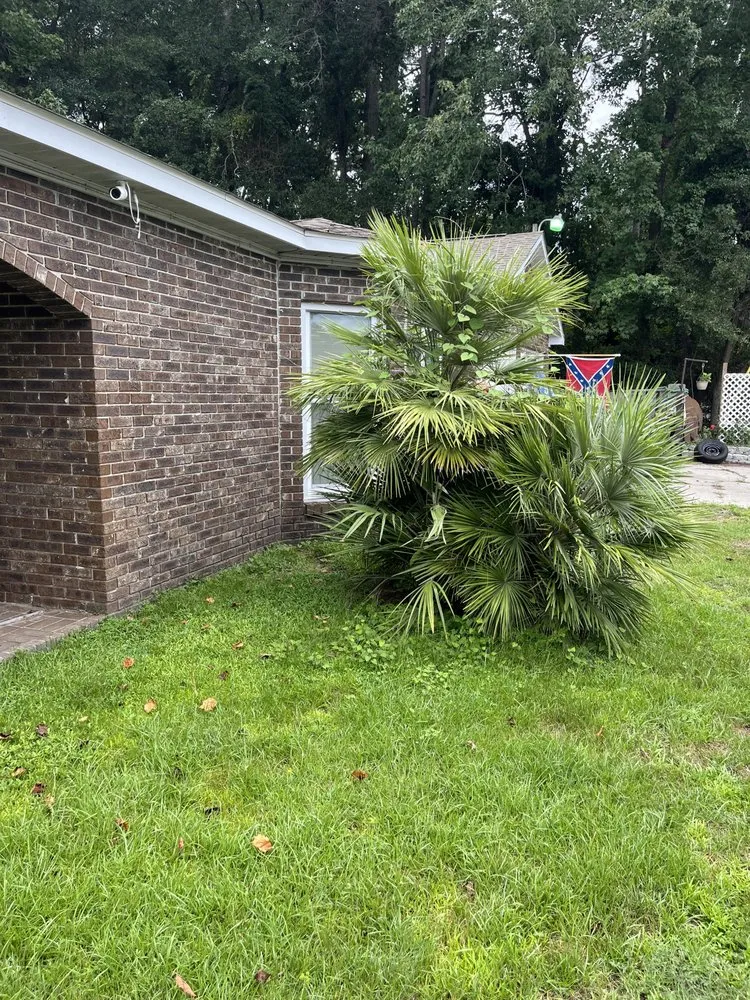 Professional landscape installation near you in Little River, SC by Affordable Lawn Care