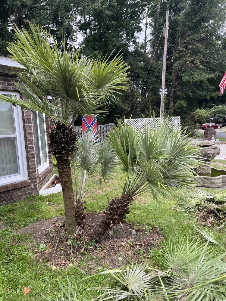 Top-rated landscaping services for homes across Little River, SC - Affordable Lawn Care