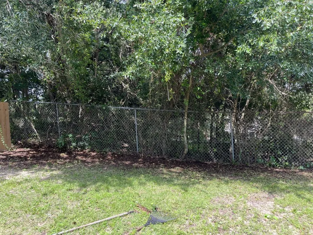 Top-rated landscaping services in Little River, SC - Affordable Lawn Care