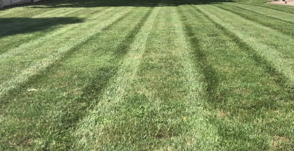 Affordable landscape installation near you across Louisa, KY - Affordable Lawn Care