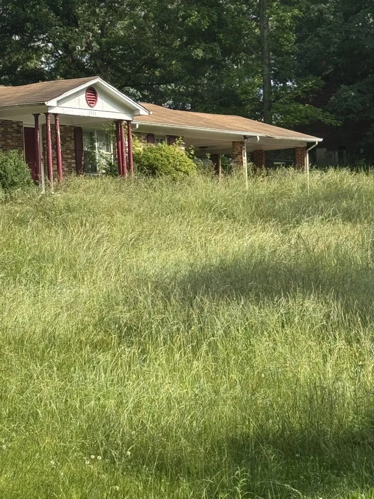 Trusted residential landscaping for beautiful yards in Rock Hill, SC by Affordable Lawn Care Management