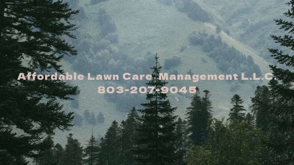 Trusted residential landscaping near you across Rock Hill, SC - Affordable Lawn Care Management