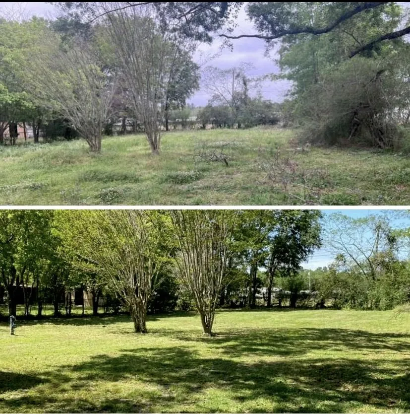 Expert landscaping services for outdoor upgrades across Mobile, AL - Affordable Lawn Care