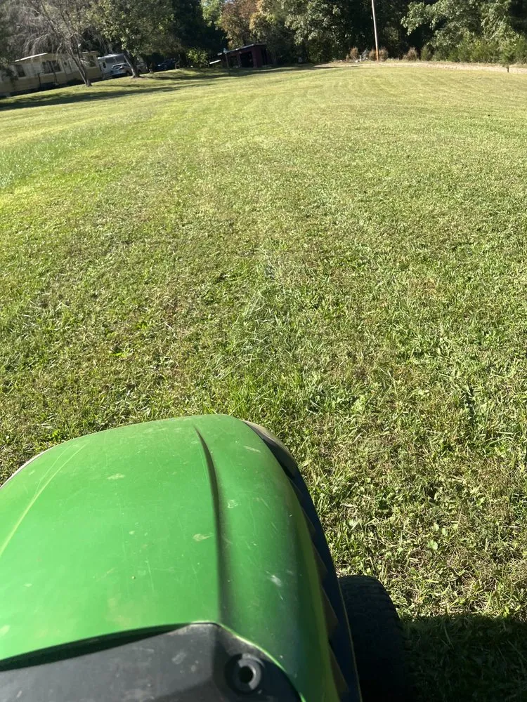 Top-rated lawn care service for year-round maintenance across North Wilkesboro, NC - Affordable Lawn Care