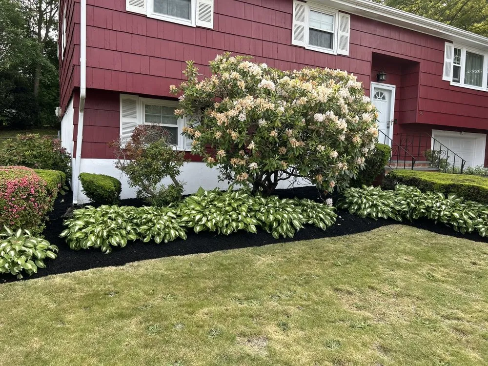 Local yard cleanup service experts serving Randolph, MA - Affordable Lawn Care