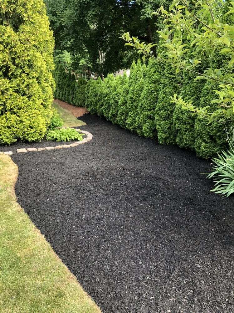 Top-rated landscaping services experts serving Randolph, MA - Affordable Lawn Care