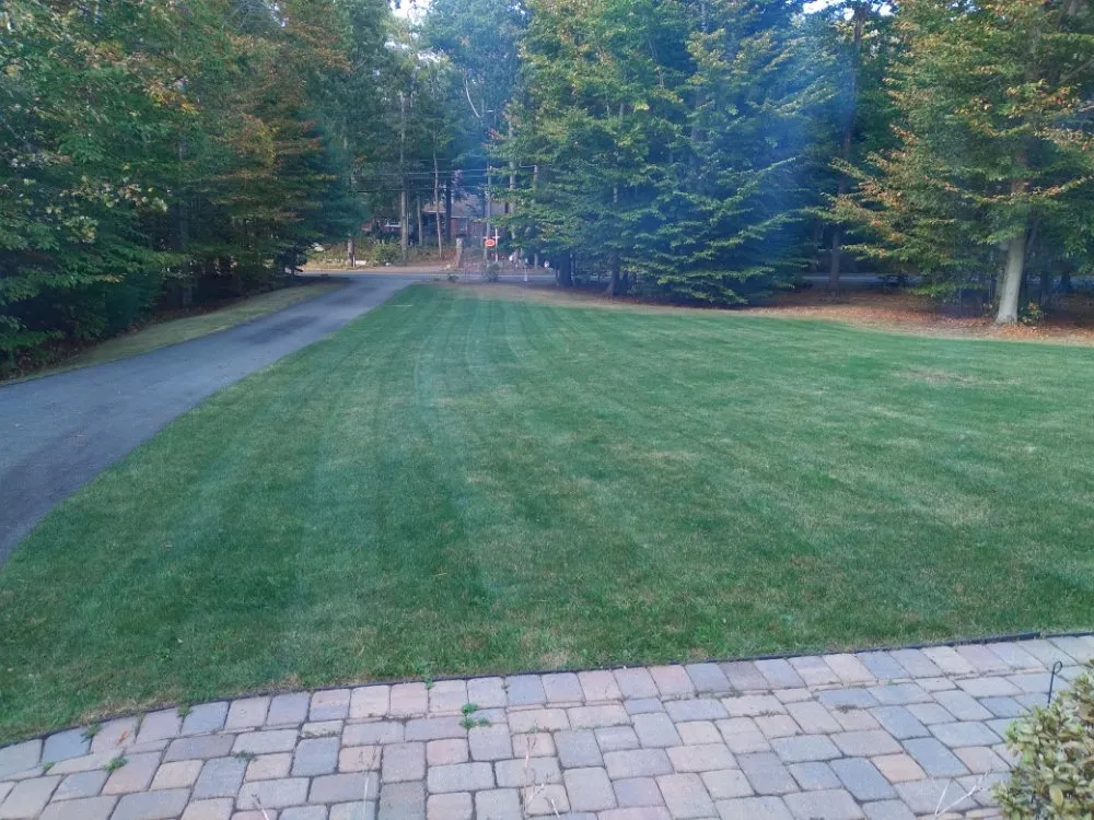 Local landscaping services for outdoor upgrades in Randolph, MA by Affordable Lawn Care