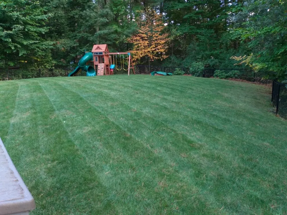 Custom lawn care service in Randolph, MA - Affordable Lawn Care