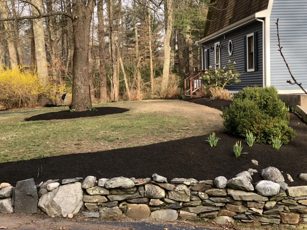 Professional landscaping services in Randolph, MA by Affordable Lawn Care