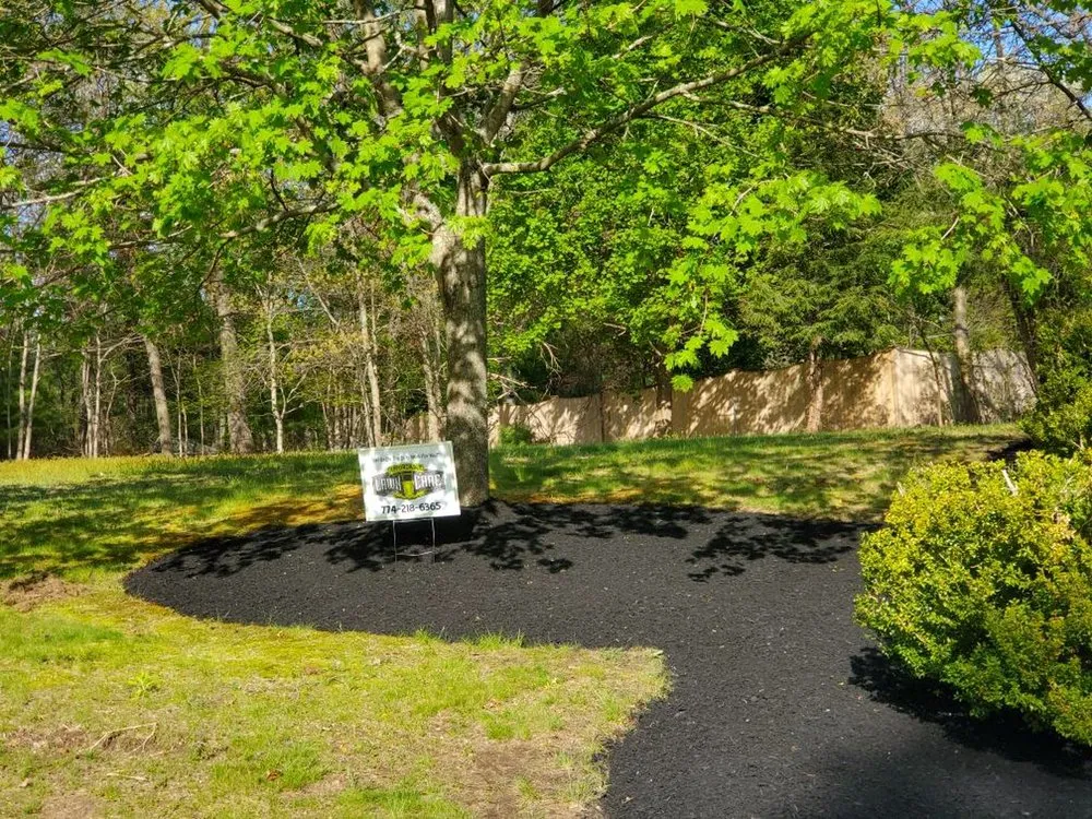 Expert landscaping services experts serving Randolph, MA - Affordable Lawn Care