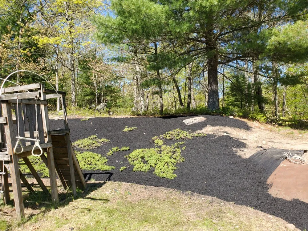 Expert yard cleanup service for beautiful yards across Randolph, MA - Affordable Lawn Care