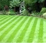 Reliable landscape installation for homes across Redgranite, WI - Affordable Lawn Care