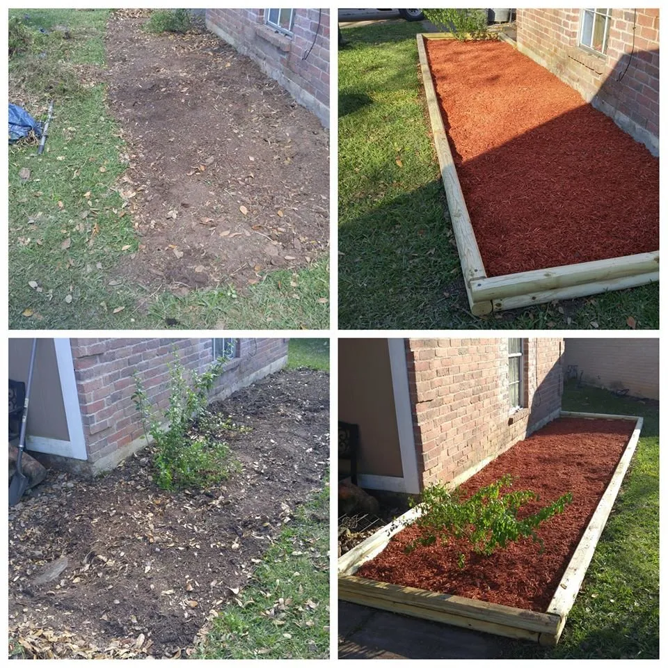 Top-rated residential landscaping in Angleton, TX by Affordable Lawn Care Solutions