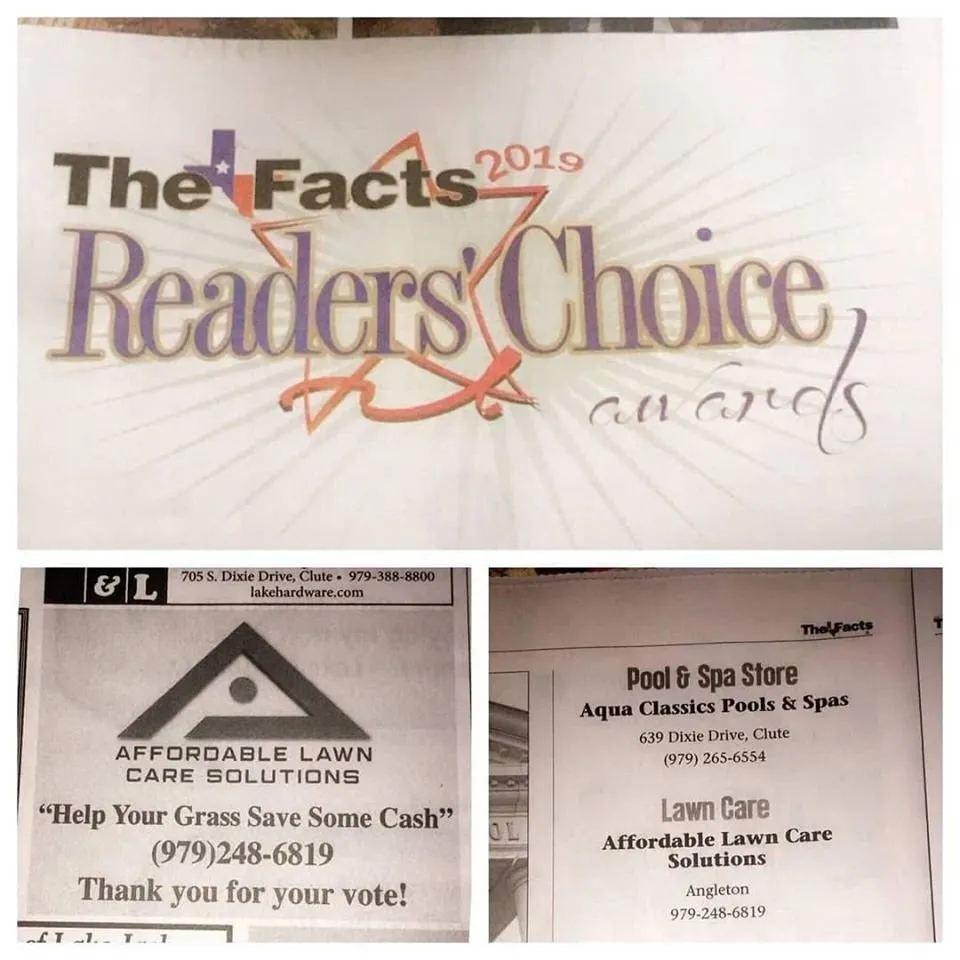 Professional yard cleanup service in Angleton, TX by Affordable Lawn Care Solutions