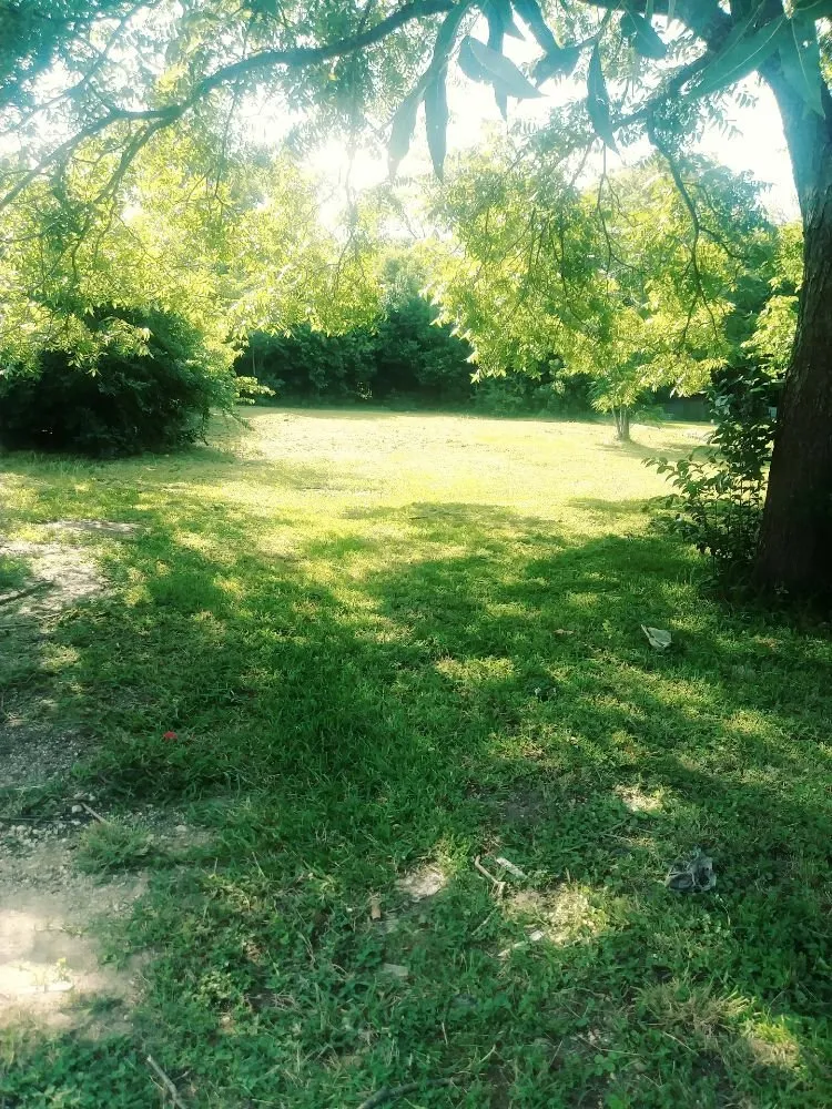 Local yard cleanup service with custom design in Temple, TX by Affordable Lawn Care