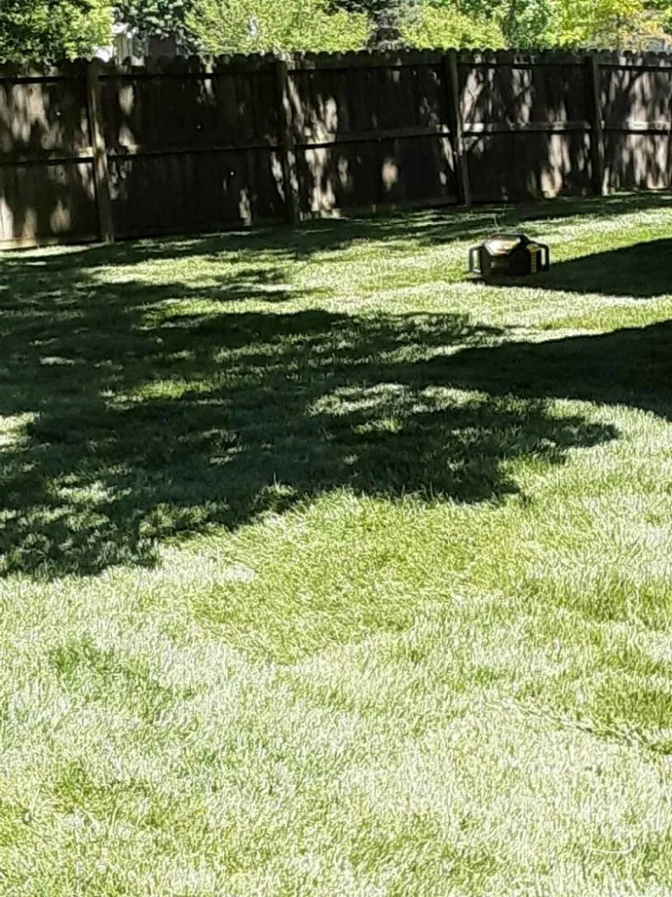Custom lawn mowing service experts serving Wichita, KS - Affordable Lawn Care