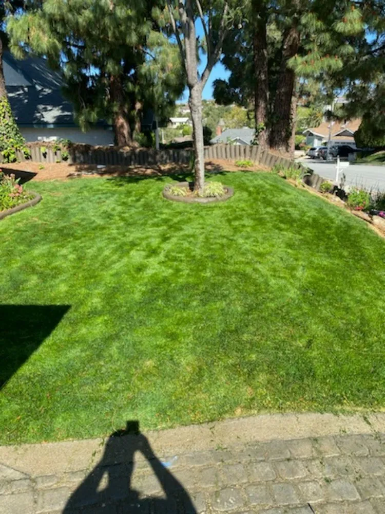 Custom residential landscaping for homes in Wichita, KS by Affordable Lawn Care