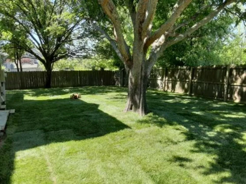Reliable lawn care service for beautiful yards across Wichita, KS - Affordable Lawn Care