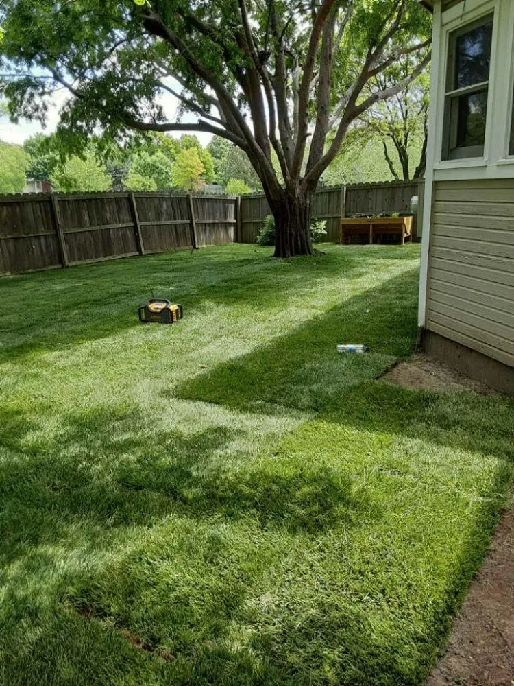 Professional lawn care service in Wichita, KS - Affordable Lawn Care