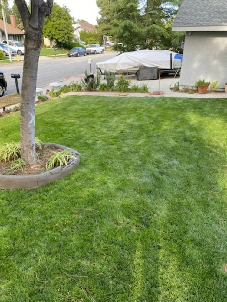 Expert residential landscaping for residential properties in Wichita, KS by Affordable Lawn Care