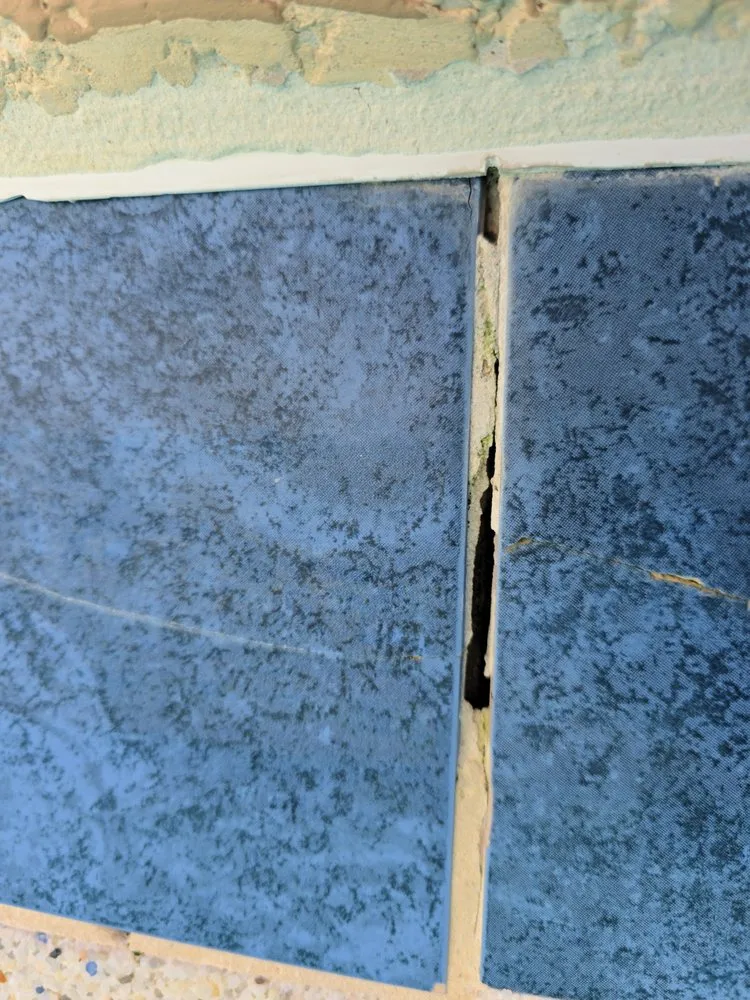 Affordable yard cleanup service in Southeast Arcadia, FL - Affordable Lawn Cuts & HandyMan Services