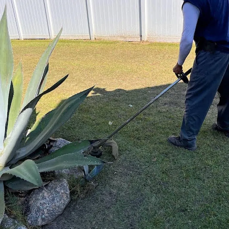 Custom lawn care service experts serving Conway, SC - Affordable Lawn-Cuts & More