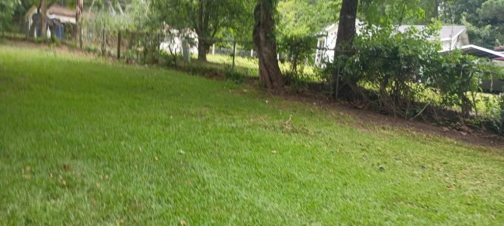 Expert lawn mowing service experts serving Leesville, LA - Affordable Lawn