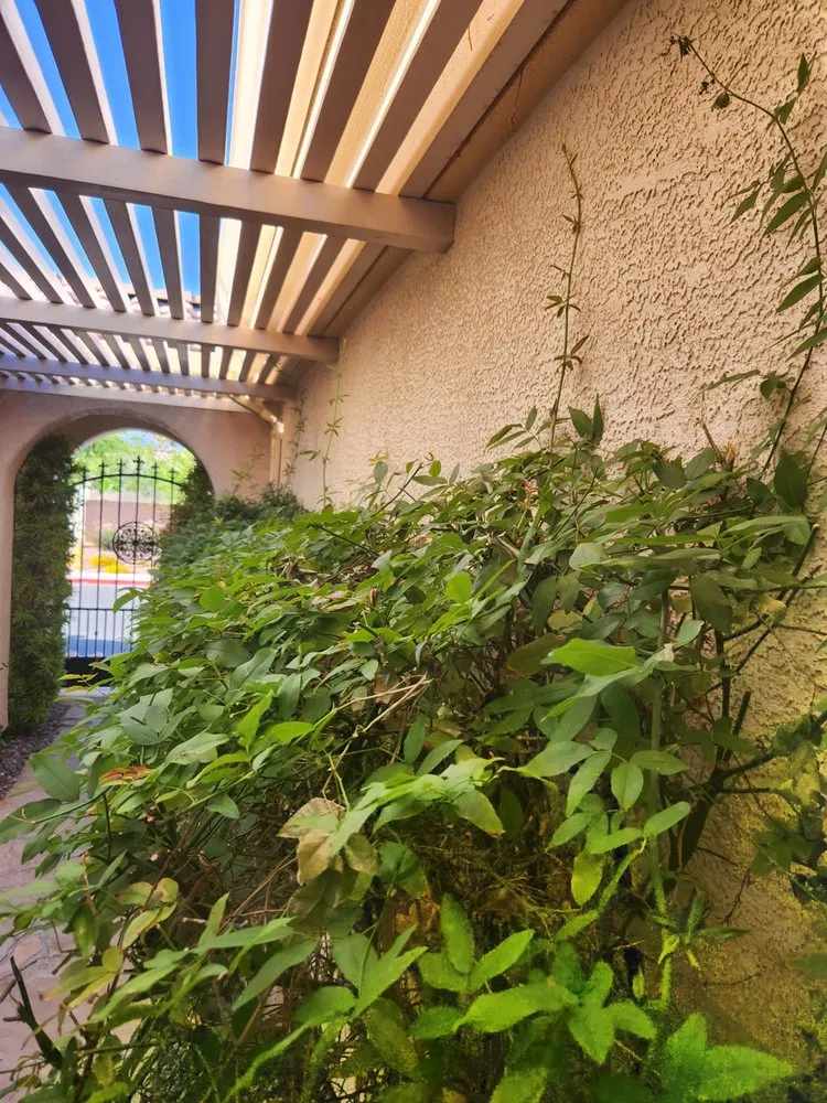 Professional garden landscaping in Las Vegas, NV by Affordable Lawn Maintenance