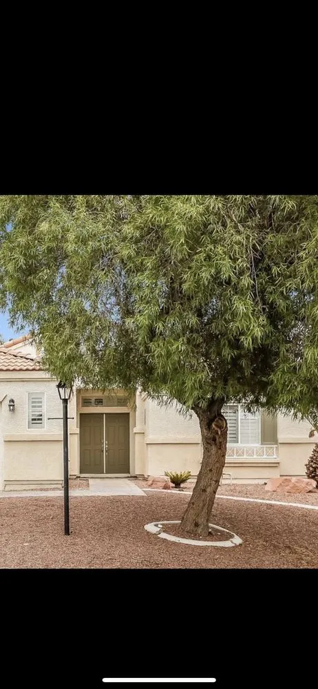 Expert outdoor landscaping experts serving Las Vegas, NV - Affordable Lawn Maintenance