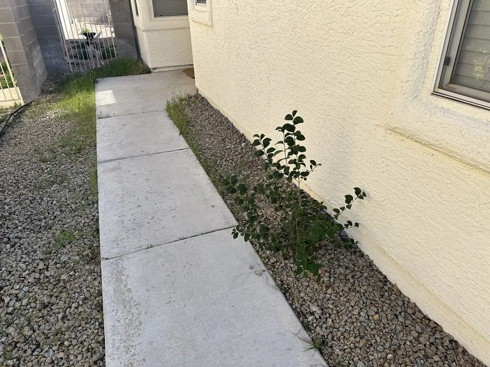 Local yard maintenance in Las Vegas, NV by Affordable Lawn Maintenance